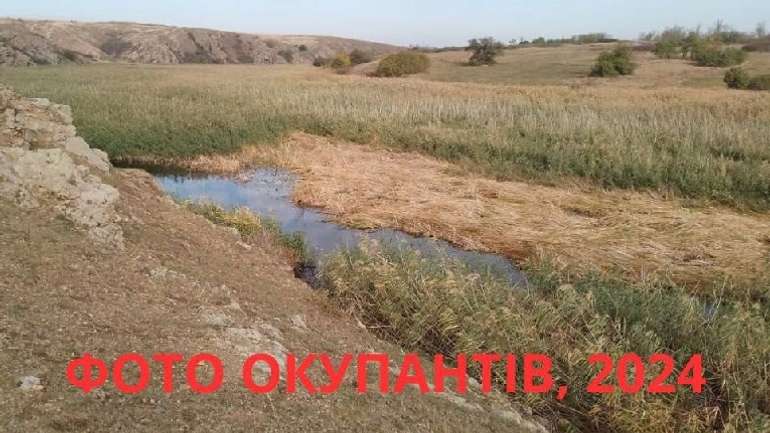 Окупанти завдали непоправної шкоди екосистемі українського Приазов'я