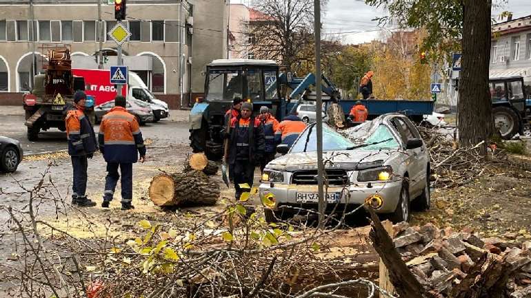 Вітер повалив дерева на автівки волонтерів у Полтаві, «зеленим ямщикам» байдуже