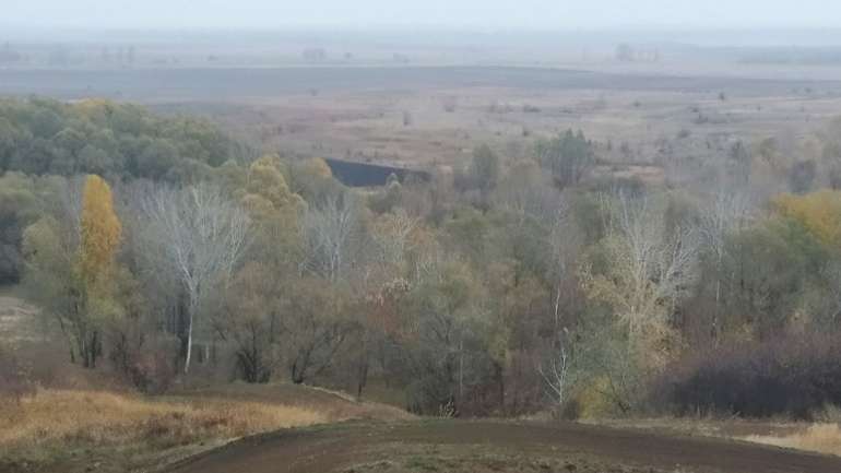 У Карлівці виявили заплаву із червонокнижними рослинами