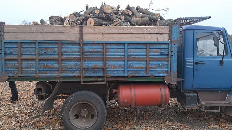 Чергову лісосмугу зрубали на дрова у Полтавському районі