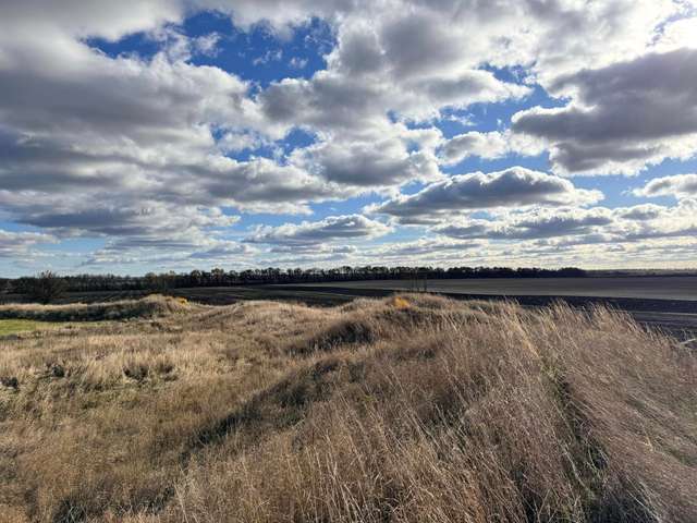 Пирятинські аграрії намагаються знищити пам'ятку доби Русі_1