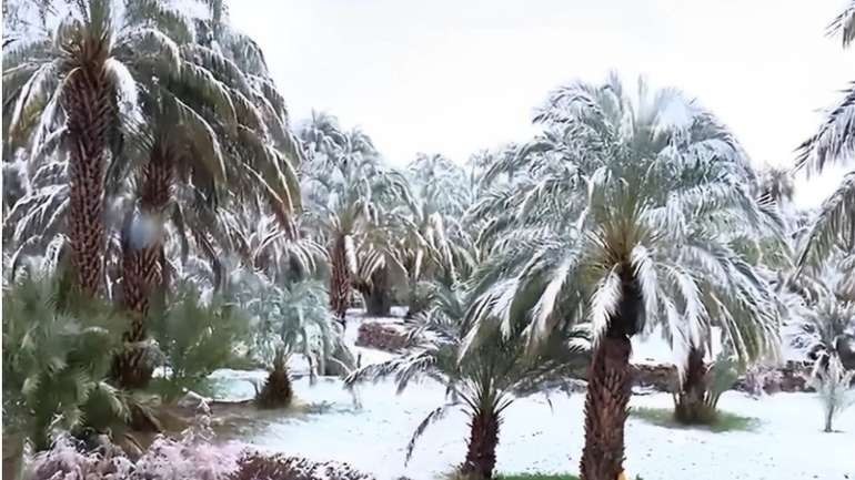 У Марокко вперше за 50 років випав сніг