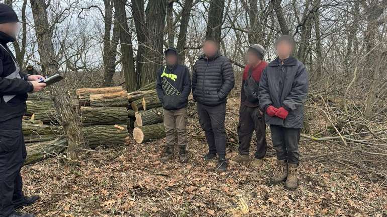 Запорізькі лісосмуги злодії рубають — тріски навсібіч летять