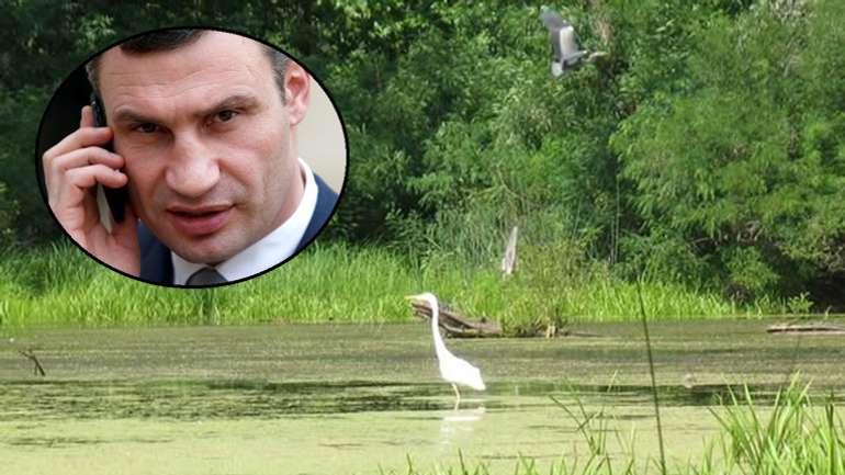 Київські екологи у суді намагаються здолати мафію Кличка