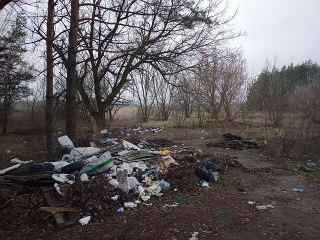 Там, де горів Новосанжарський ліс, нині рясніють відходи_1