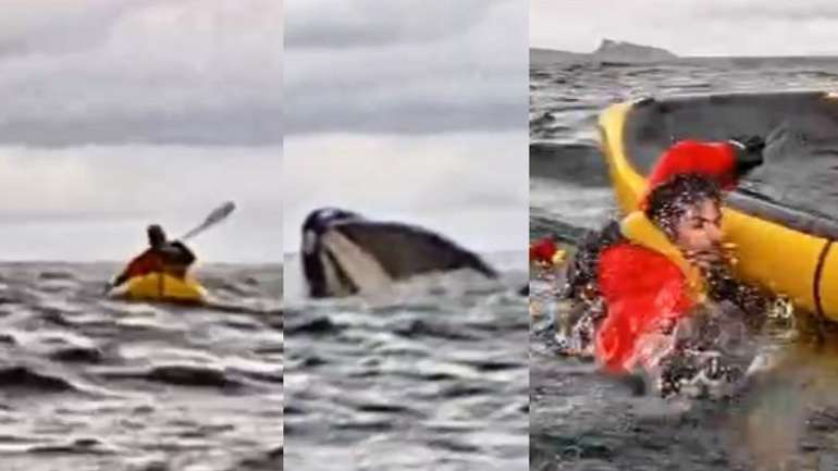 Кит ледь не проковтнув човняра у берегів Чилі