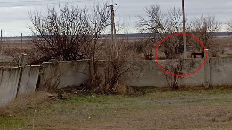 Окупанти перетворили захоплені будівлі українців на Херсонщині в арсенали