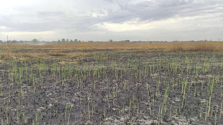 Заказник «Лубкове» знову належатиме Семенівській громаді