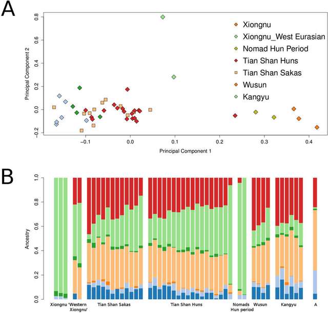 Генетики виявили спорідненість між європейськими гунами й азійськими сюнну_1