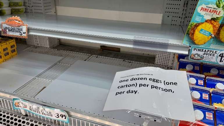 Фінляндія не постачатиме яйця США