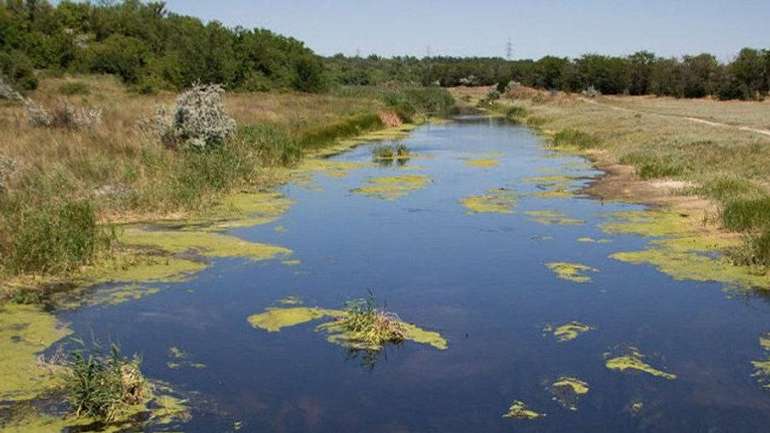 Окупанти отруїли річку Молочна у Запорізькій області