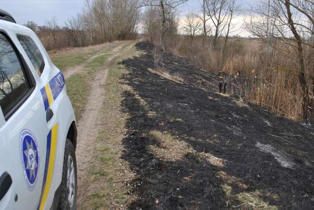 Поліція Полтавщини затримала паліїв полів_1