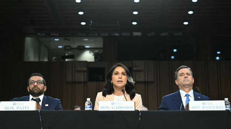 Глави розвідок США переклали відповідальність за витік у Signal на міністра оборони Гегсета