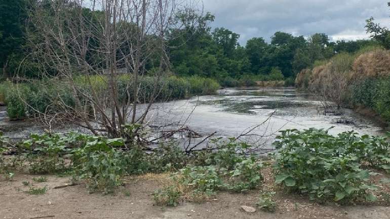 У Полтаві плюндрують природу, а на Черкащині судитимуть екозлочинців