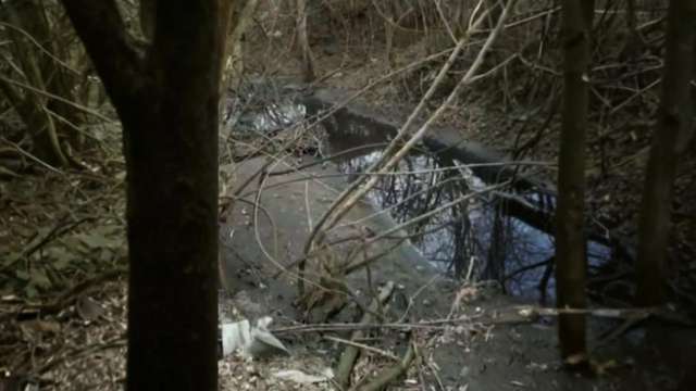 Природна окраса Полтави перетворена дикунами на смердюче болото