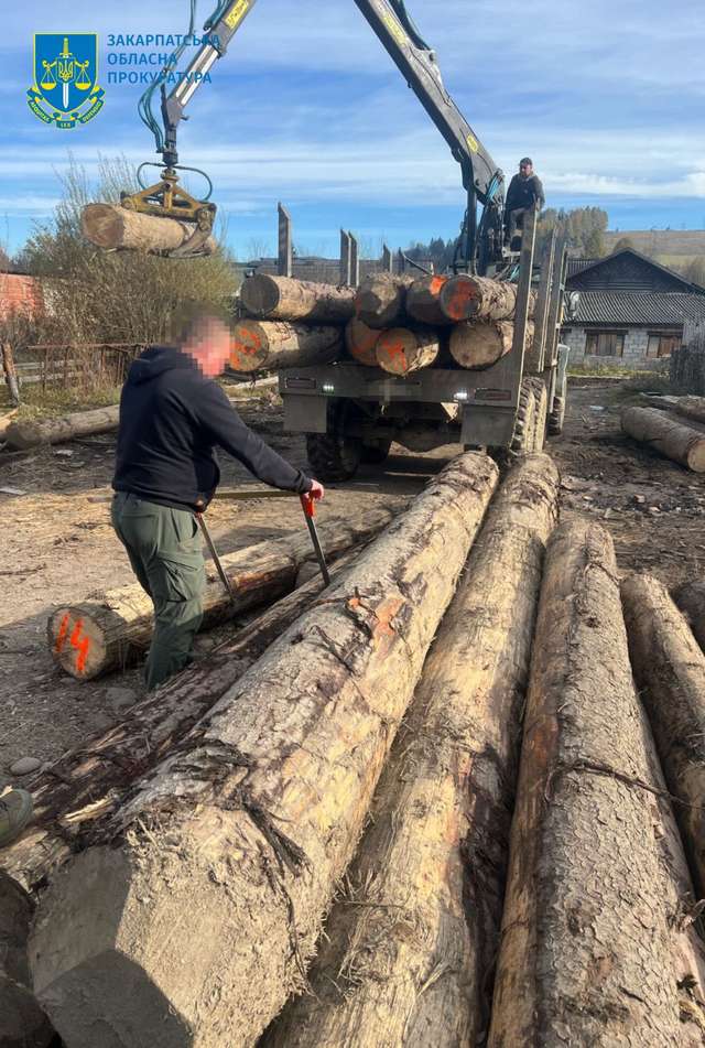 «Чорних лісозаготівельників» затримали у Карпатах_1