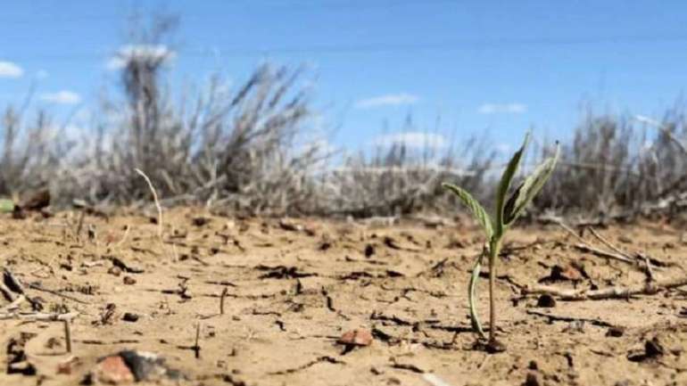 Весняна посуха вбиває вітчизняні чорноземи