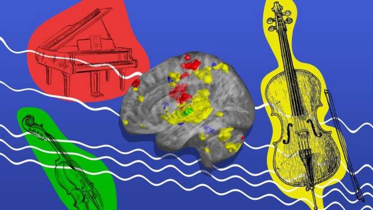 Улюблена музика діє на мозок, як наркотик