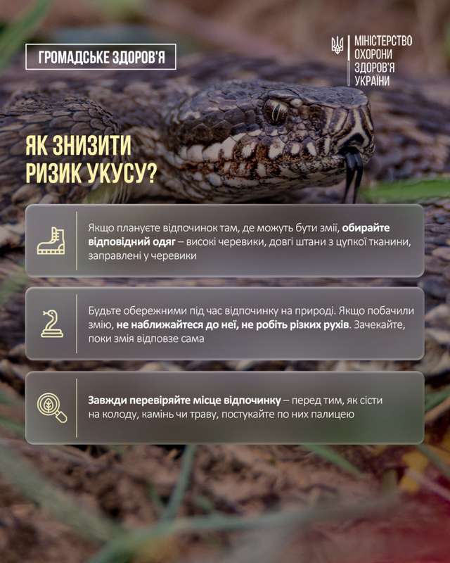 МОЗ попередило українців про розростання ореолу отруйних змій_3