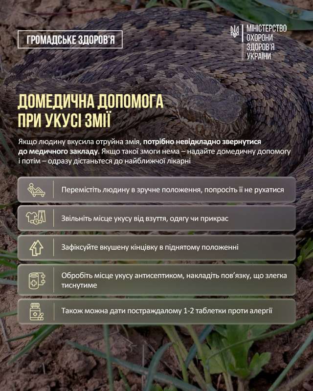 МОЗ попередило українців про розростання ореолу отруйних змій_5