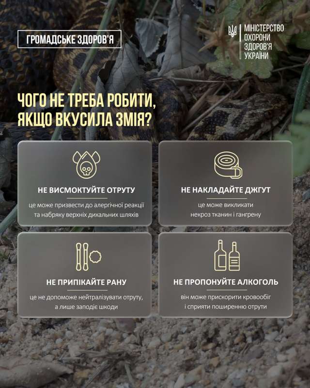 МОЗ попередило українців про розростання ореолу отруйних змій_7