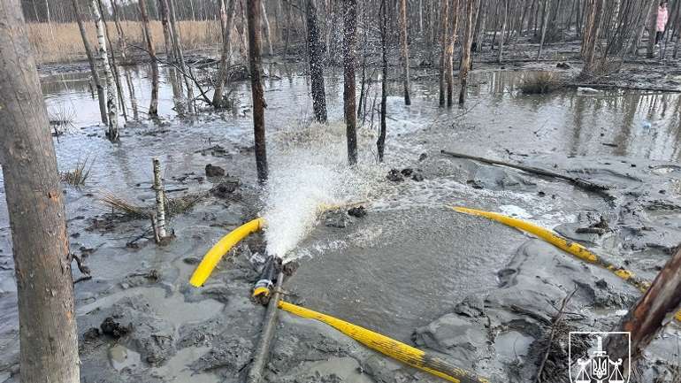 Нелегальних бурштинокопачів затримали у Рівненській області