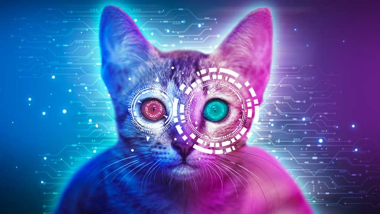 У Китаї створюють ШІ-систему для розшифровки мови тварин