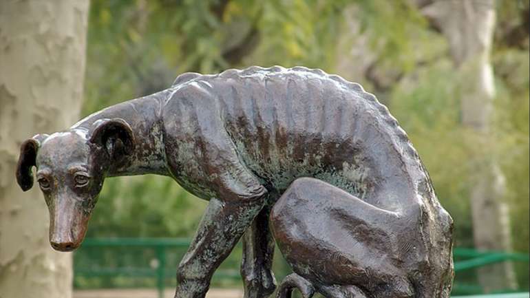 Погляд, що кричить мовчанням