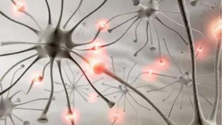 Людина тупішає від відсутності навантаження на мозок