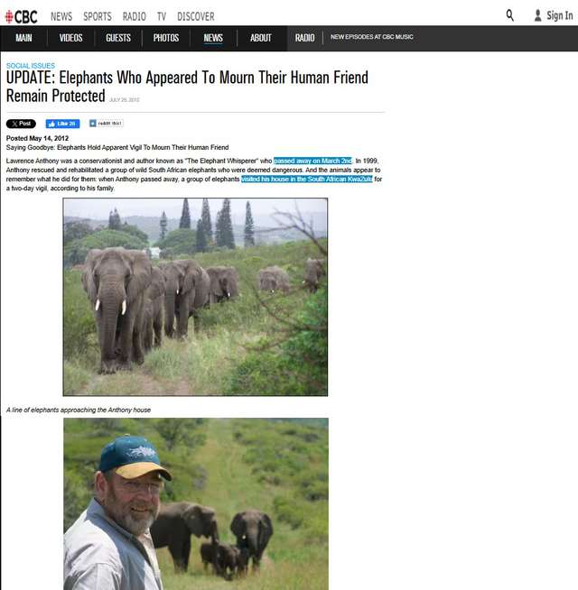 Той, хто говорив зі слонами_1