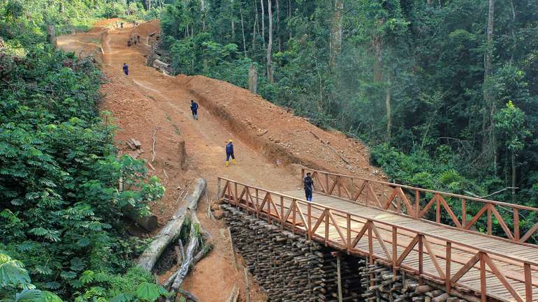 Еміратський шейх купує одне з найбільших у світі родовищ важливого металу — Bloomberg