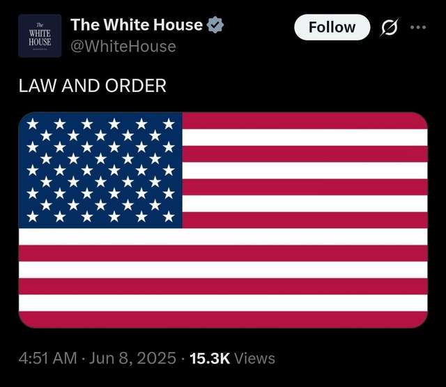 Мексиканські картелі фінансують бунт у Лос-Анджелесі_3