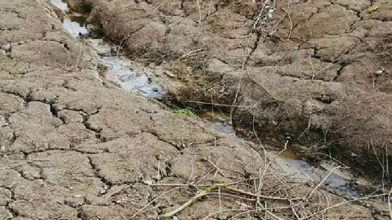 Метеорологи прогнозують зміну структури посівних площ на Харківщині