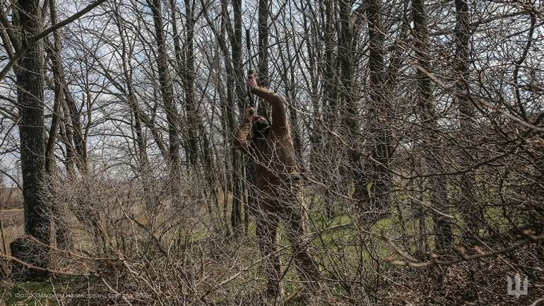 Рідка «зеленка» на Донеччині заледве рятує ЗСУ від ворожих FPV-дронів