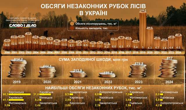 Після двох років повномасштабної війни: лісова мафія нарощує обсяги_1