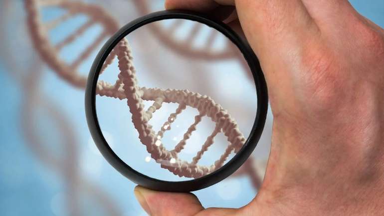 Британські вчені планують створити штучну ДНК людини