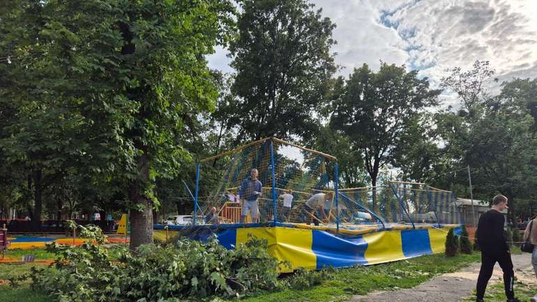 Черговий деревопад у Полтаві