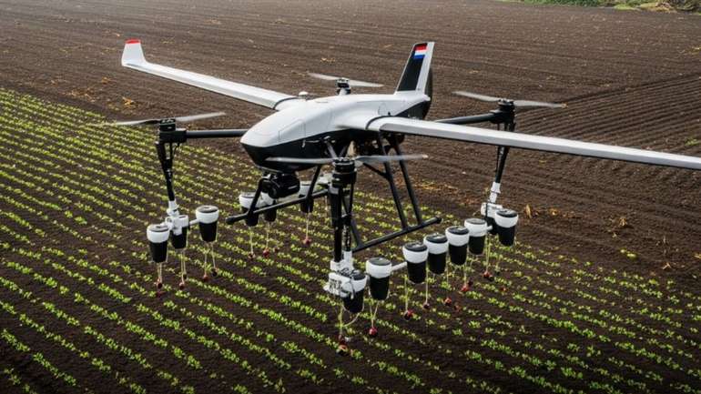 Дрони-лісники: як у Нідерландах автоматизували відновлення лісів