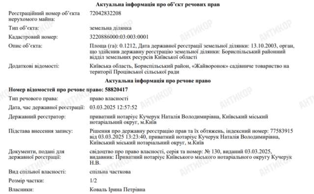 Поліцейський на мільйон_11