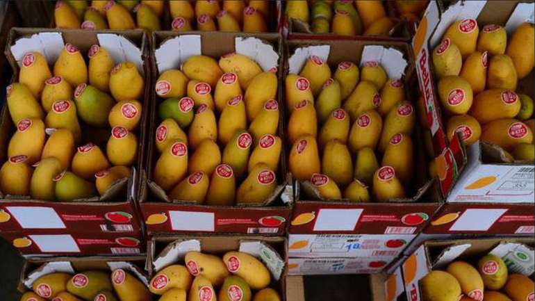 Іспанія встановила рекорд із виробництва манго в Європі