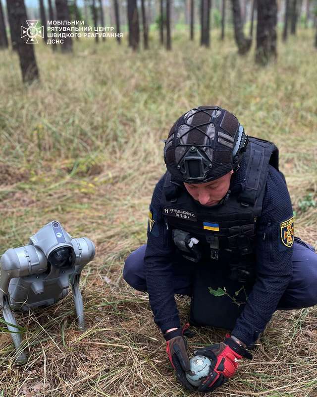 Робопес допоміг шукати елементи касетних боєприпасів після обстрілу Київщини_1