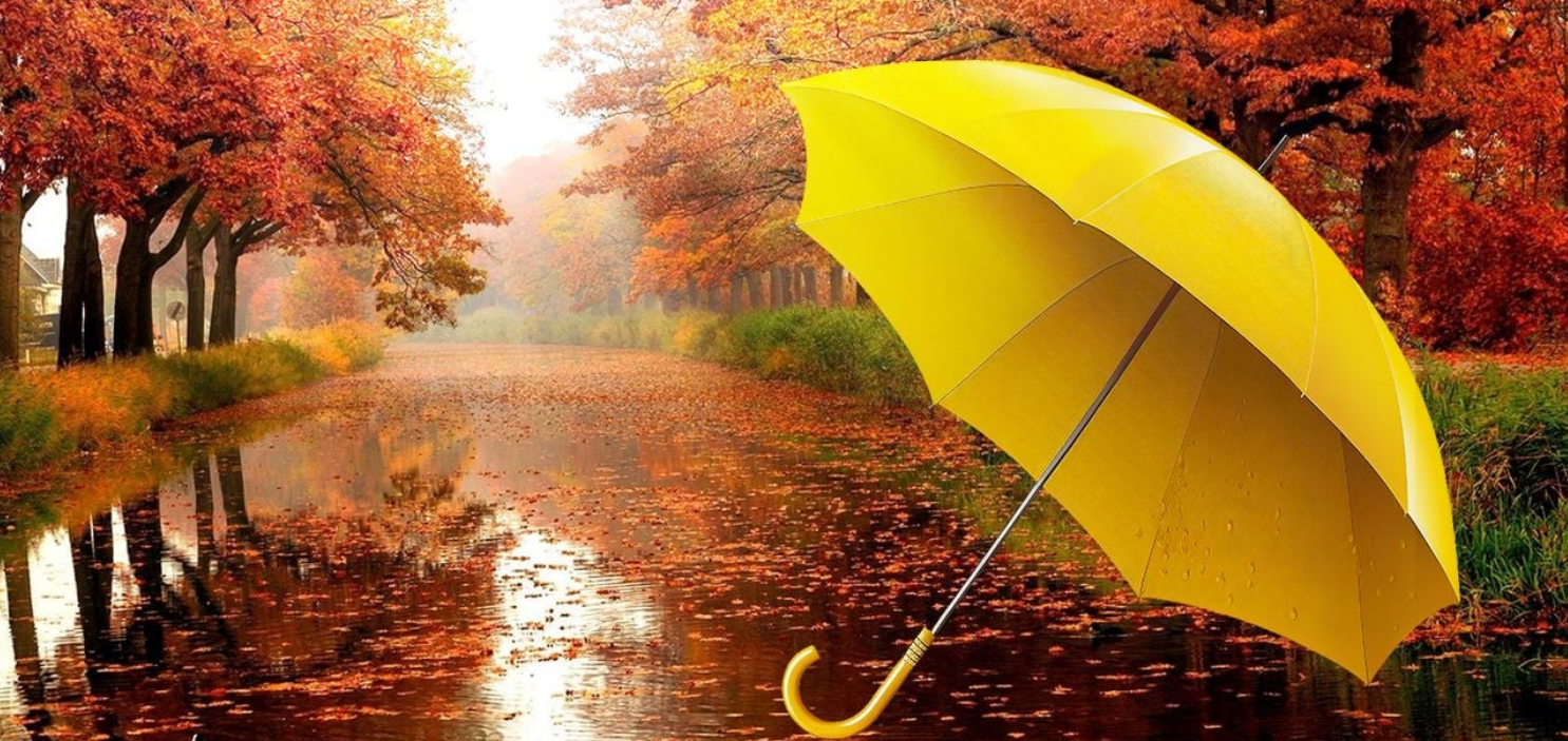 Прогноз погоди на тиждень 13–19 жовтня 2025 року