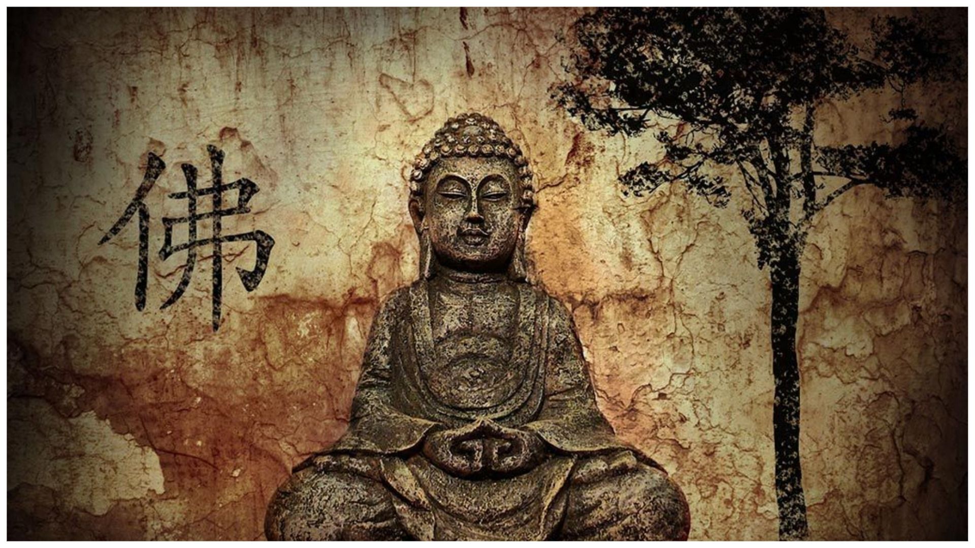 Співчуття як шлях до миру