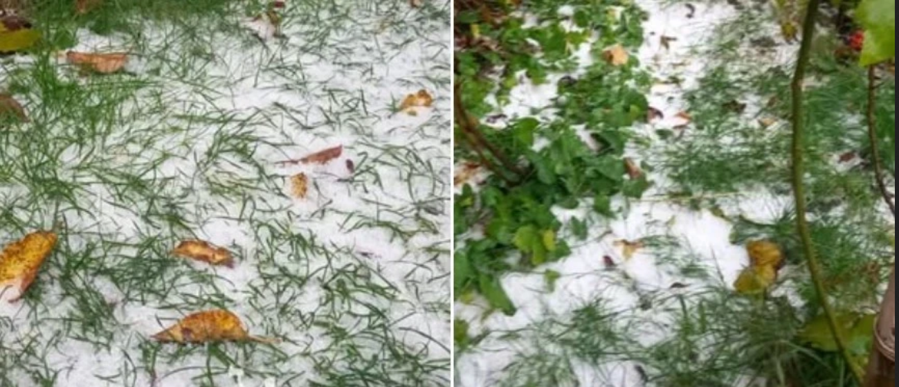 На Київщині випав перший сніг