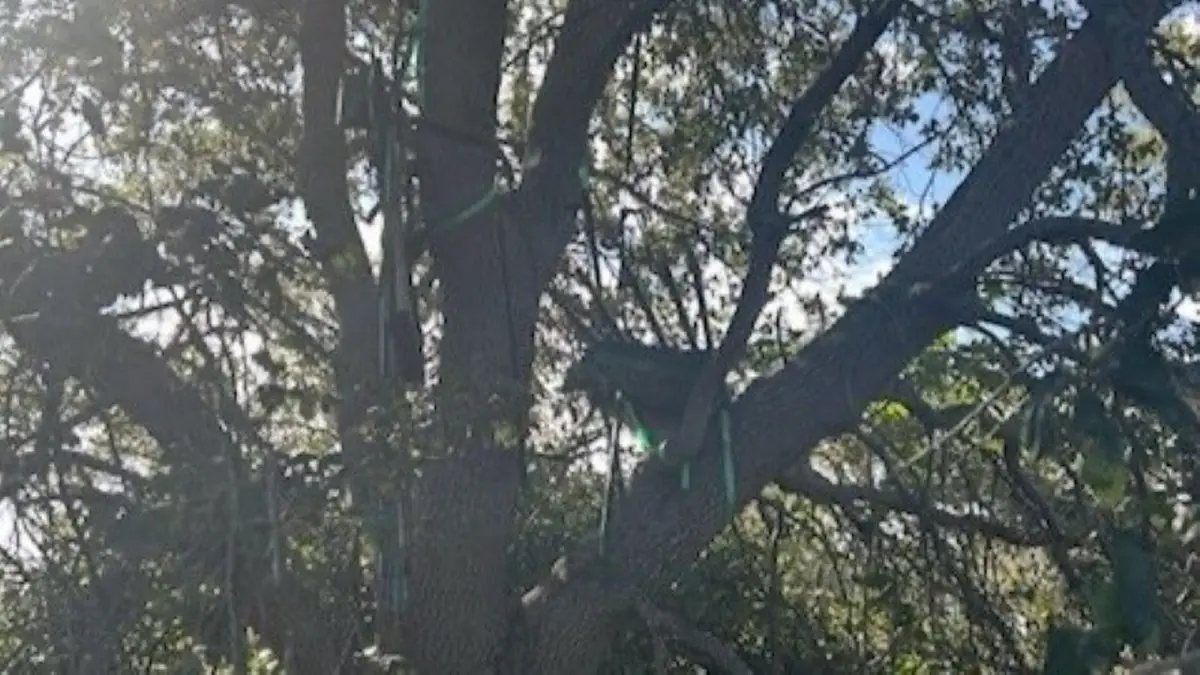 Секретна служба США виявила «снайперську точку» біля улюбленого аеропорту Трампа_1