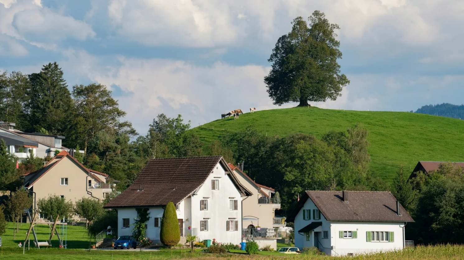 У Швейцарії шукачам притулку заборонять подорожувати за кордон