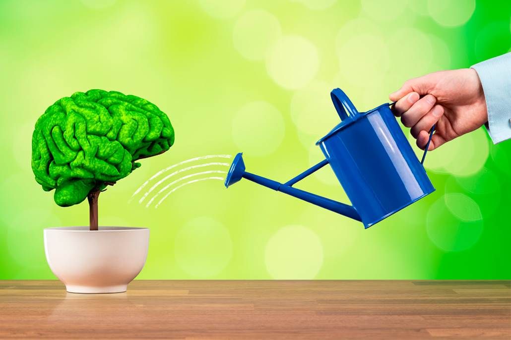 Дослідження виявило, що відбувається у мозку, коли людина втрачає увагу