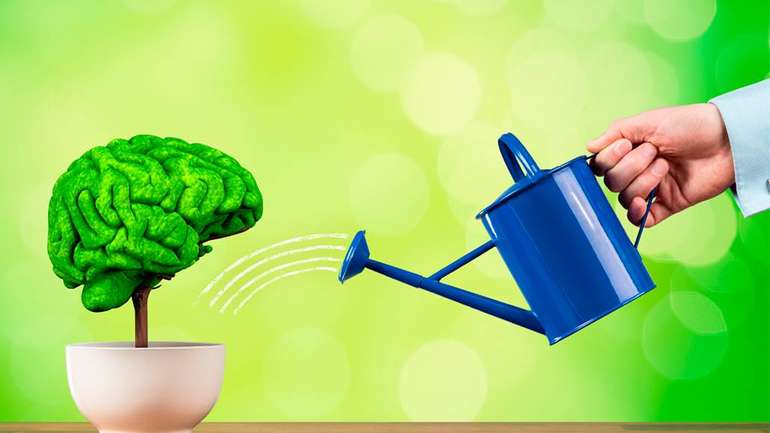 Дослідження виявило, що відбувається у мозку, коли людина втрачає увагу