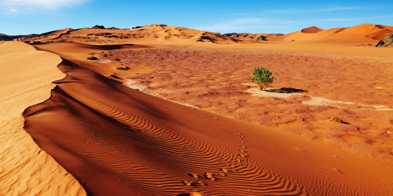 Сахара може стати зеленішою