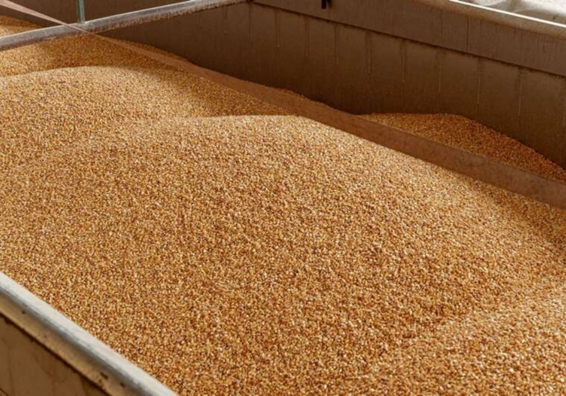 Зі зданих Зеленським ворогу областей окупанти вивозять зерно